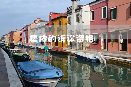 集体的诉讼资格 集体的诉讼资格