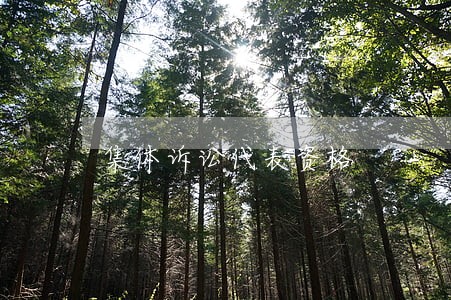 集体诉讼代表资格