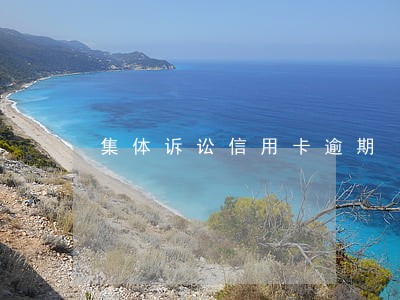 集体诉讼信用卡逾期 集体诉讼信用卡逾期