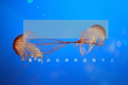 集体诉讼律师函每个人 集体诉讼律师函每个人