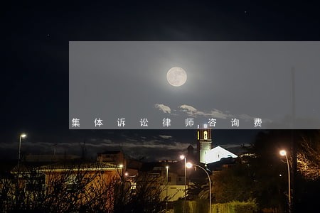 集体诉讼律师咨询费 集体诉讼律师咨询费