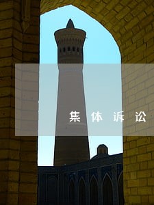 集体诉讼的判决书 集体诉讼的判决书