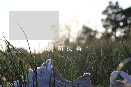 集团公司法务 集团公司法务