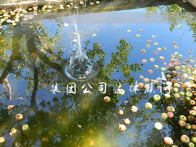 集团公司法律顾问 集团公司法律顾问
