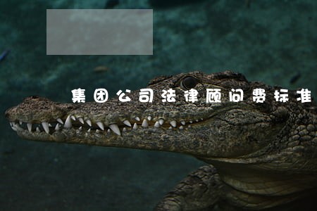 集团公司法律顾问费标准 集团公司法律顾问费标准