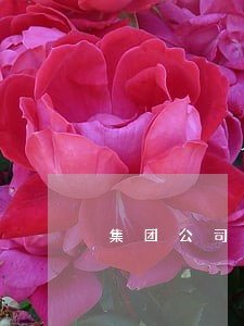 集团公司诉讼案件综合分析 集团公司诉讼案件综合分析