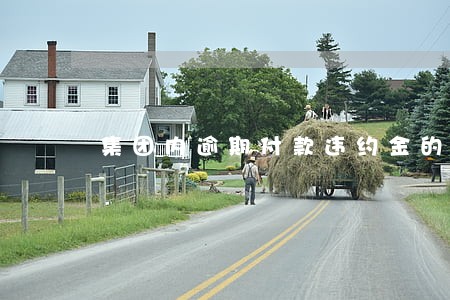 集团内逾期付款违约金的免除 集团内逾期付款违约金的免除