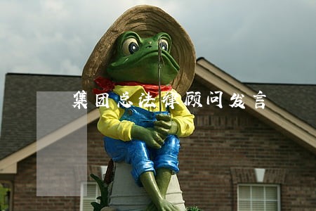 集团总法律顾问发言