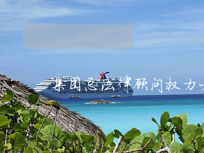 集团总法律顾问权力大吗 集团总法律顾问权力大吗