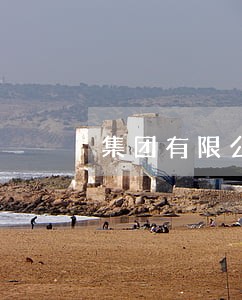 集团有限公司总法律顾问 集团有限公司总法律顾问