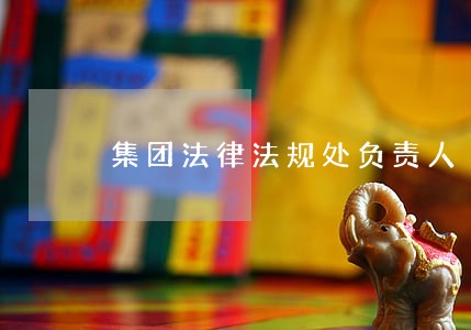 集团法律法规处负责人