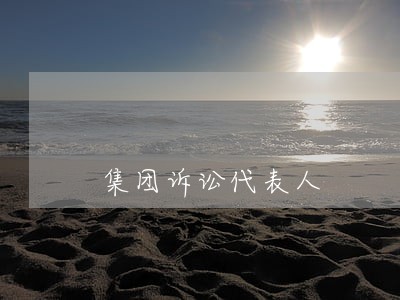 集团诉讼代表人 集团诉讼代表人