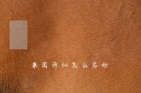 集团诉讼怎么启动 集团诉讼怎么启动