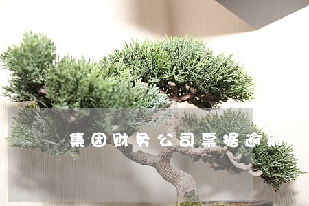 集团财务公司票据逾期 集团财务公司票据逾期