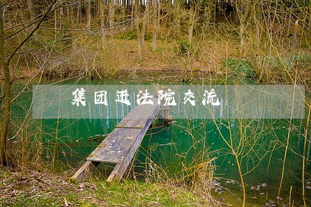 集团进法院交流 集团进法院交流