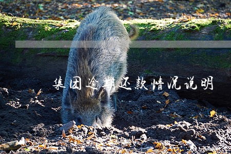 集团逾期还款情况说明 集团逾期还款情况说明