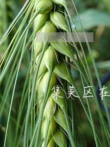 集美区在线法律咨询 集美区在线法律咨询