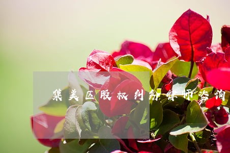 集美区股权纠纷律师咨询电话 集美区股权纠纷律师咨询电话