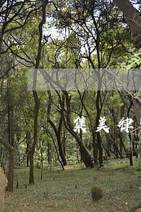 集美律师咨询怎么收费 集美律师咨询怎么收费
