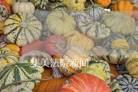 集美法院新闻 集美法院新闻