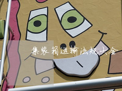 集装箱运输法规大全 集装箱运输法规大全