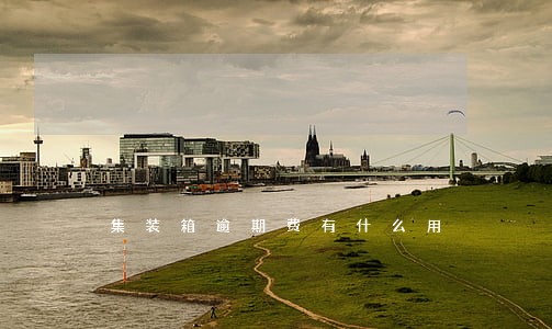 集装箱逾期费有什么用 集装箱逾期费有什么用