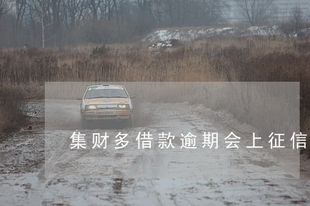 集财多借款逾期会上征信吗 集财多借款逾期会上征信吗