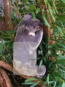 集财多逾期十天 集财多逾期十天