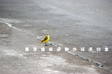 集资建房逾期办证违约金 集资建房逾期办证违约金
