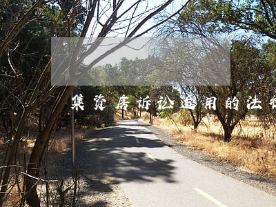 集资房诉讼适用的法律