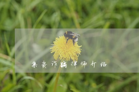 集资诈骗律师介绍 集资诈骗律师介绍
