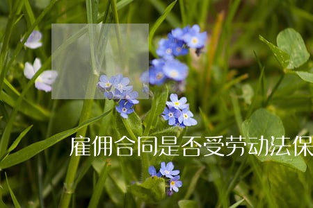 雇佣合同是否受劳动法保护