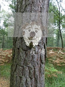雇佣工人逾期支付工资 雇佣工人逾期支付工资
