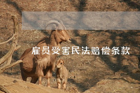 雇员受害民法赔偿条款 雇员受害民法赔偿条款