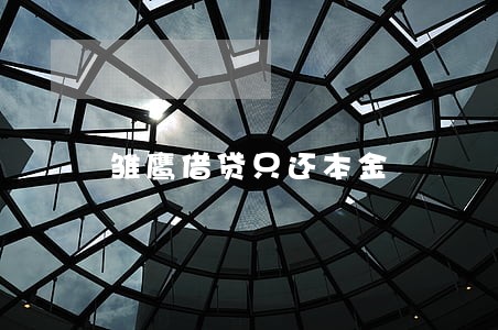雏鹰借贷只还本金 雏鹰借贷只还本金