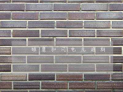 雏鹰和闪电虎逾期