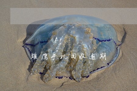 雏鹰手机回收逾期 雏鹰手机回收逾期