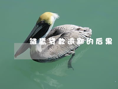 雏鹰贷款逾期的后果