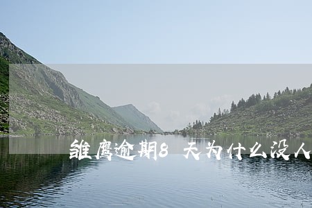 雏鹰逾期8天为什么没人联系 雏鹰逾期8天为什么没人联系