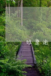 雏鹰逾期一天会打通讯录吗 雏鹰逾期一天会打通讯录吗