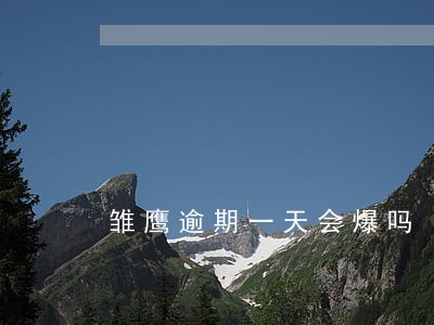雏鹰逾期一天会爆吗 雏鹰逾期一天会爆吗