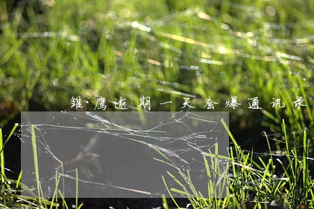 雏鹰逾期一天会爆通讯录吗 雏鹰逾期一天会爆通讯录吗