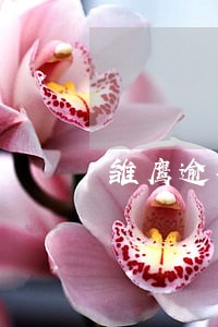雏鹰逾期上芝麻负面吗 雏鹰逾期上芝麻负面吗