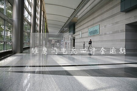雏鹰闪电虎四件套逾期 雏鹰闪电虎四件套逾期