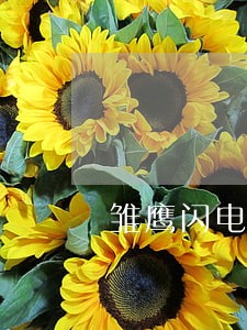 雏鹰闪电虎逾期后怎么没有催收 雏鹰闪电虎逾期后怎么没有催收