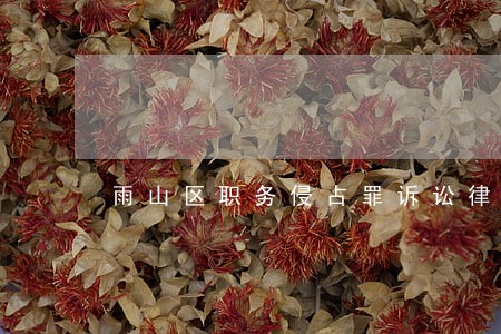 雨山区职务侵占罪诉讼律师 雨山区职务侵占罪诉讼律师