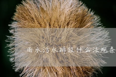 雨水污水排放什么法规条款