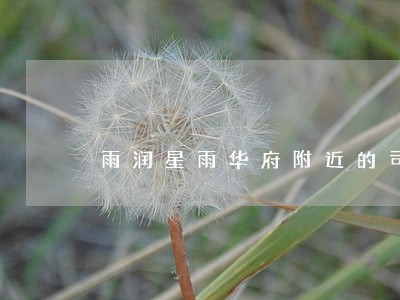 雨润星雨华府附近的司法局