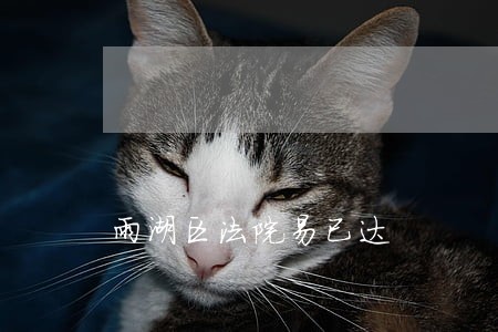 雨湖区法院易已达
