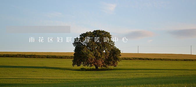 雨花区妇联法律援助中心 雨花区妇联法律援助中心